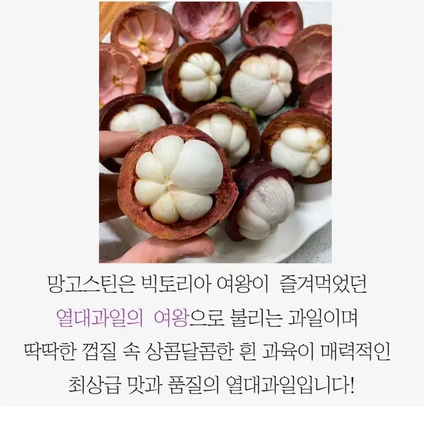 청담마켓 네이버 4.7 이상 태국 직송 생 망고스틴 500g x 6망