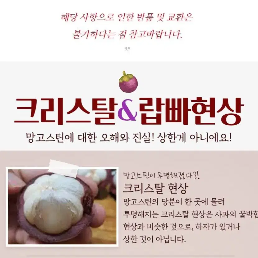 청담마켓 네이버 4.7 이상 태국 직송 생 망고스틴 500g x 6망