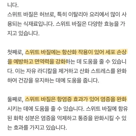 키우기 쉬운 스위트 바질(독일토분 증정)