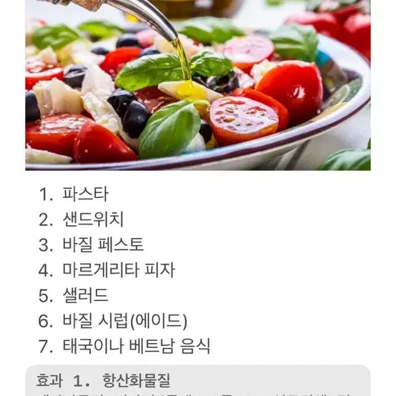 귀여운 스위트 바질(일본정품화분+화분받침 증정)