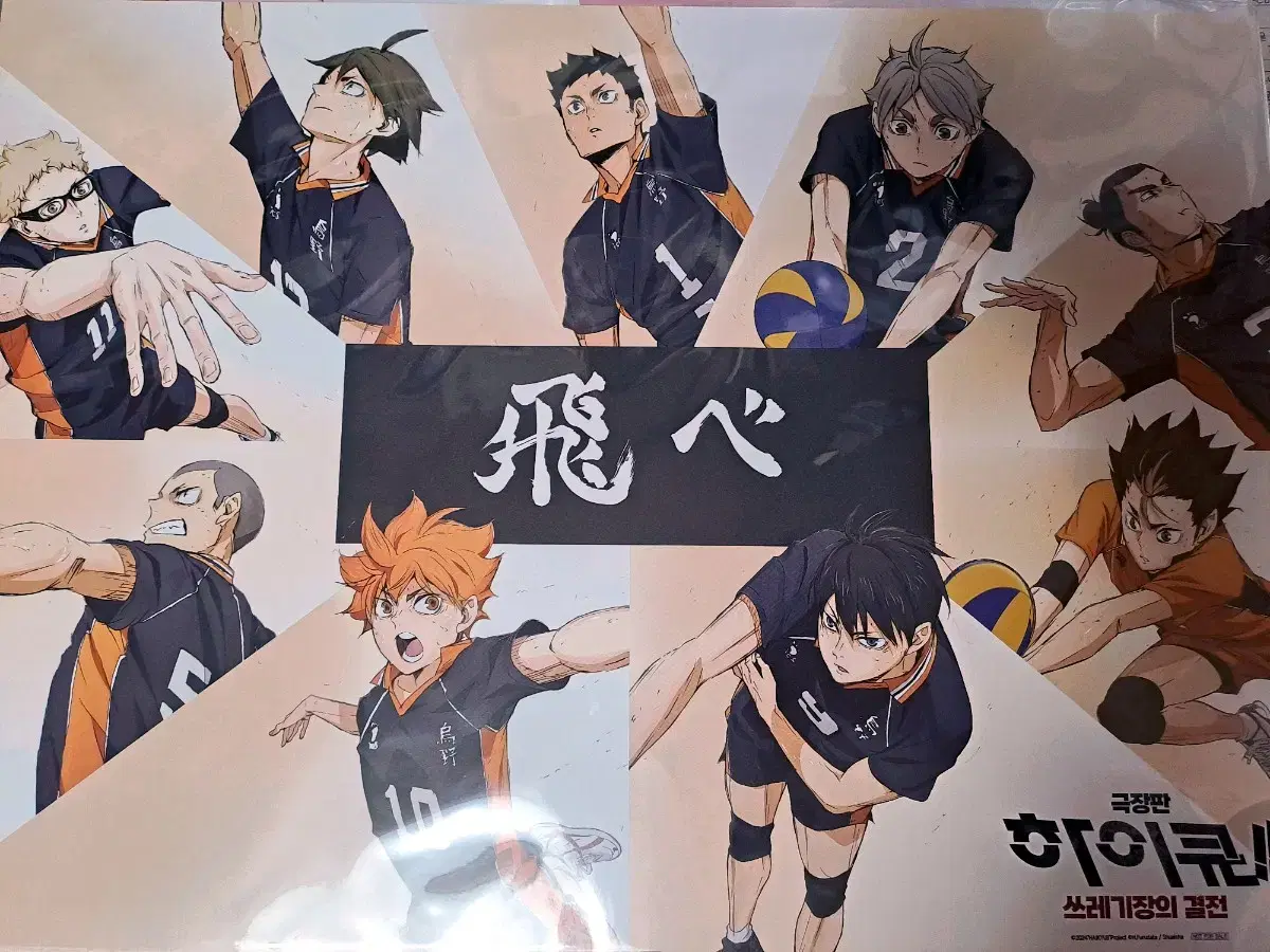 Haikyuu CGV Week 3 pre-order benefit Karasuno group photo poster hinata Chronicle