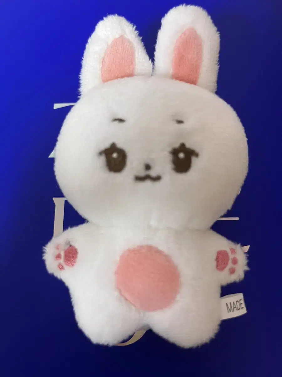 ZB1 Han Rabbit