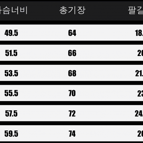 [새상품O/매장O] 아미 반팔 하트 바닐라 남성 2XL Size