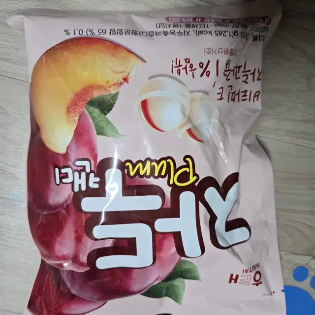 블루독베이비 아기 수영복 수영모자 자두맛캔디 새상품 팔아요