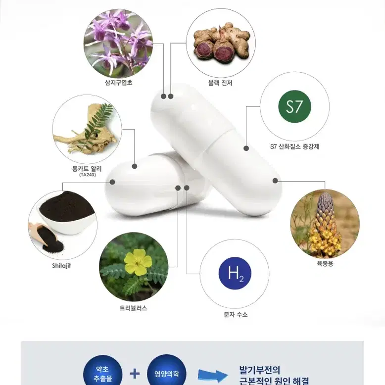 (5개) 미국산 천연 남성 발기 성기능 강화 새상품