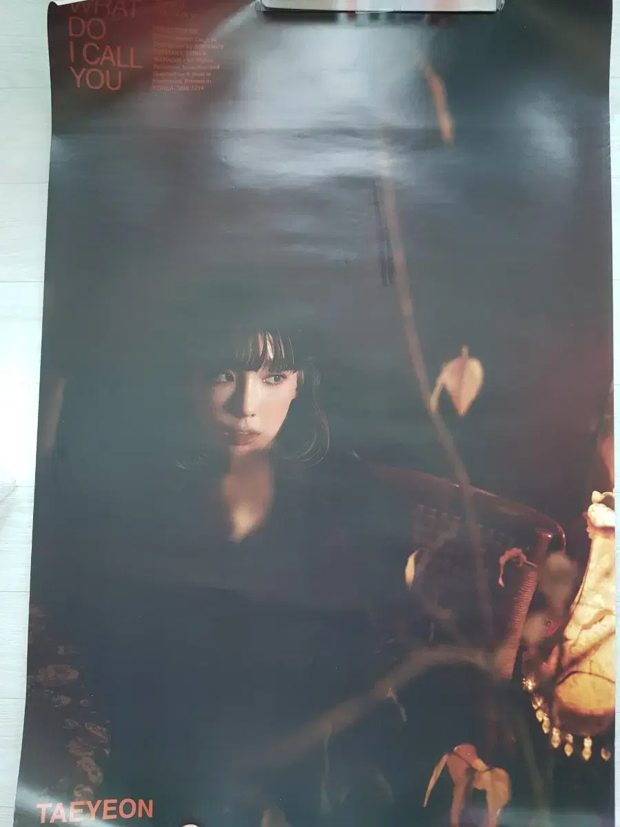 Taeyeon Edamame (Watduaikol U) poster Sells in bulk