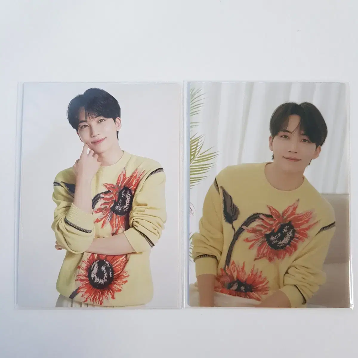 Seventeen jeonghan HomeTrekka JapanPhotocard