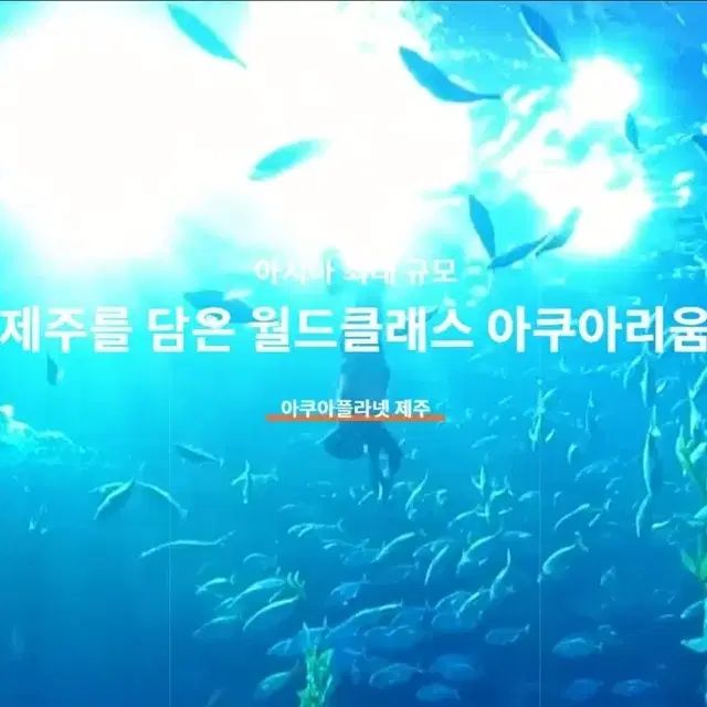 제주아쿠아플라넷  종일이용권