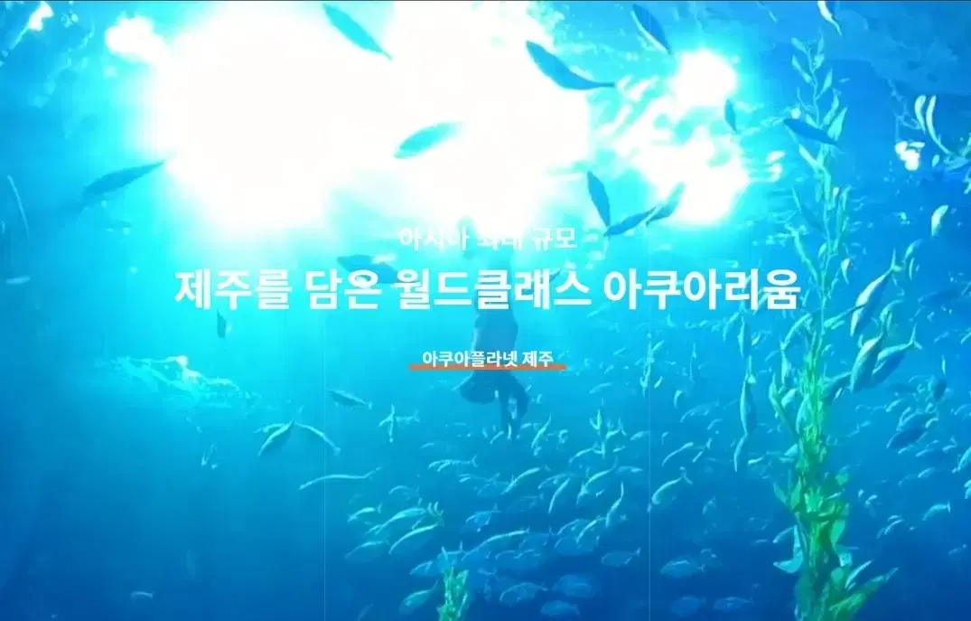 제주 아쿠아플라넷  종합권