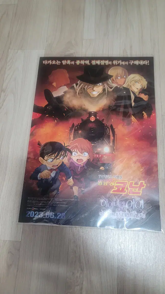 Detective Conan the Barbarian Mystery Train / Black Iron Fisherwoman Poster