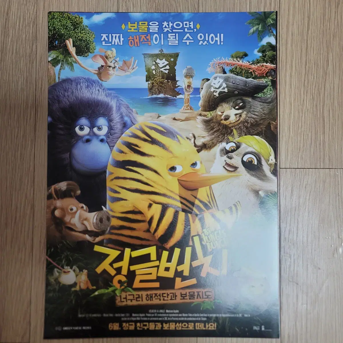 Junglebunch Raccoon Pirates and the Treasure Map Movie poster Pamphlet Flyer