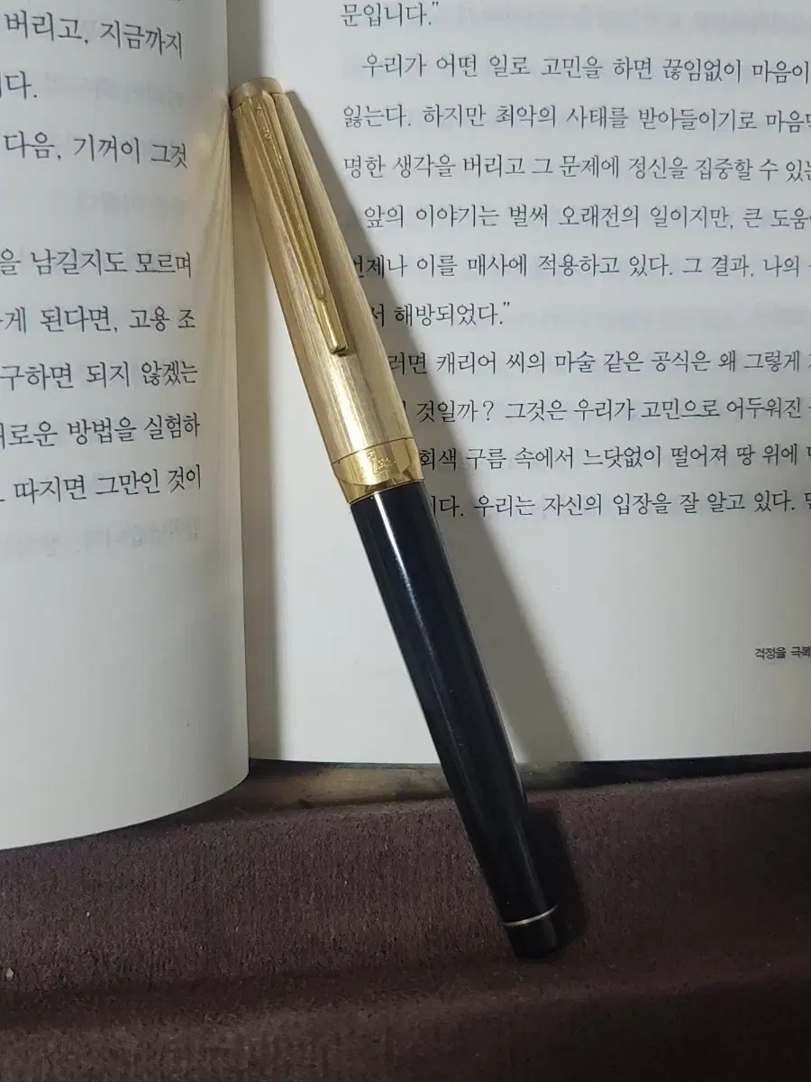 (빈티지) 파이롯트 엘리트 만년필 - 18K 골드 F닙, 14K 캡