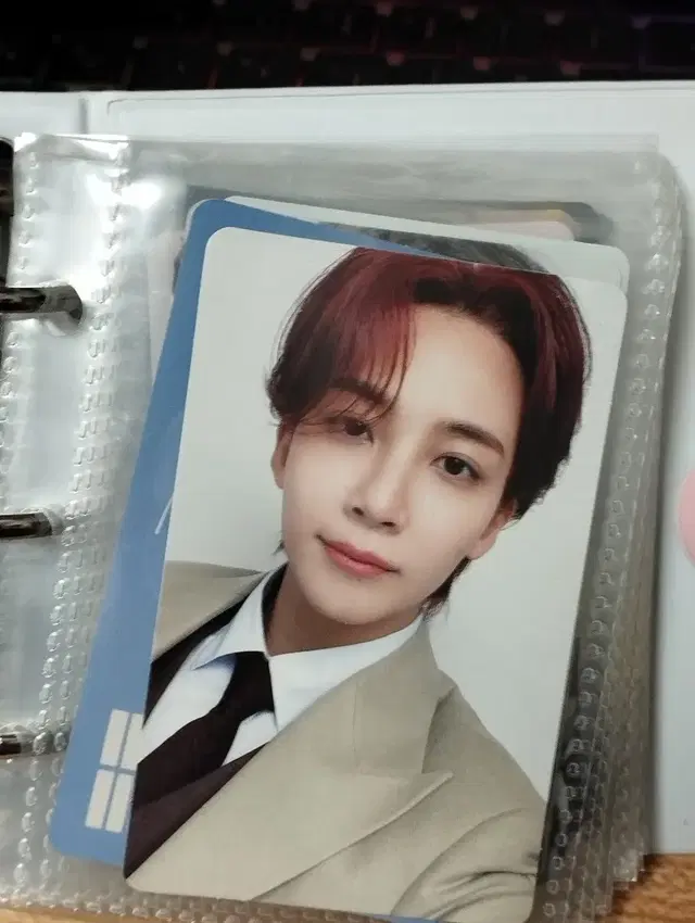 세븐틴 정한 인컴플릿 포카