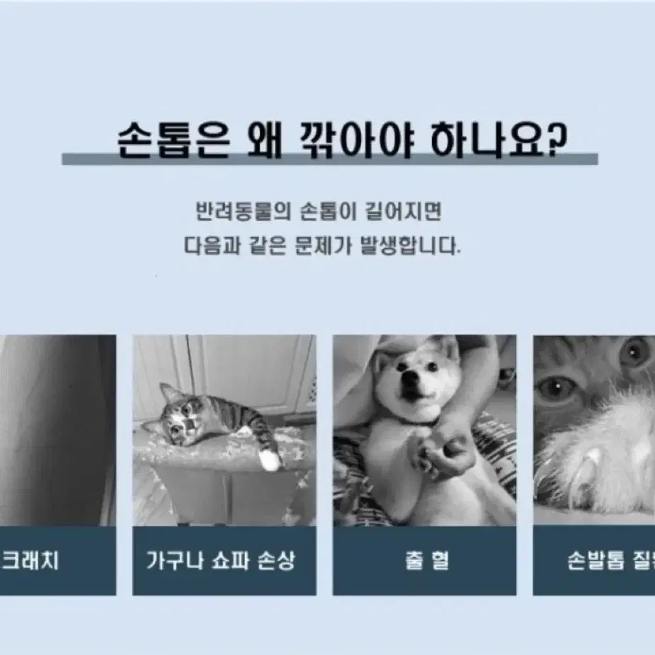 애완동물 튐방지 손톱깎이