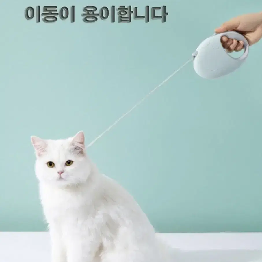 강아지 리드줄