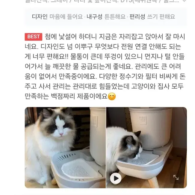 퓨어나인 전기없는 강아지정수기 고양이정수기 새제품 판매해요