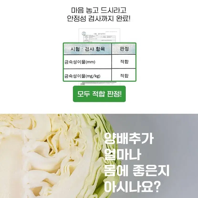 간편하게 섭취하는 국내산 양배추 분말 100% 300g