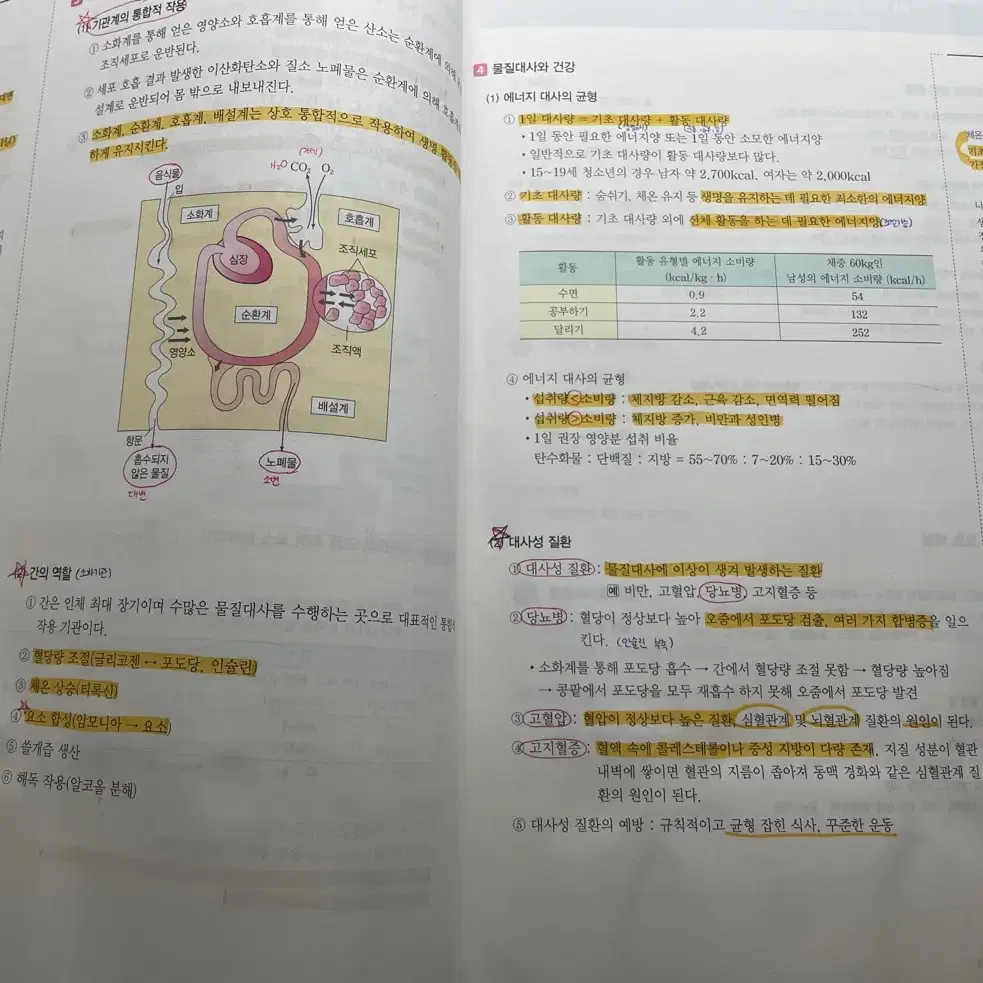 2025 생명 백호 개념완성,서브노트,문제편,정답및해설