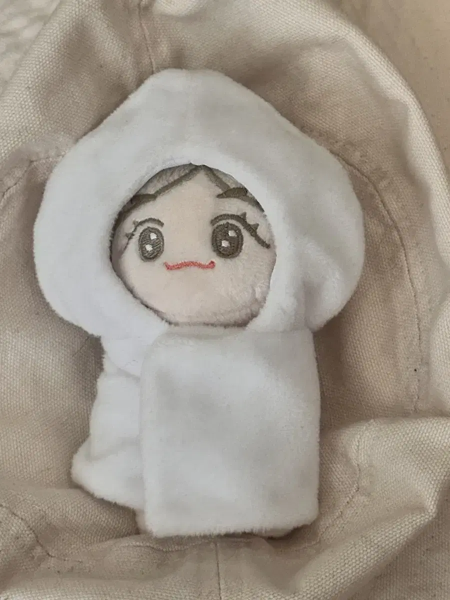 엔시티드림 재민 11cm 인형 메리잼 양도