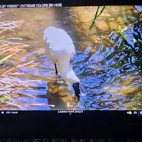 에이서 스위프트 엣지 16 OLED SFE16-43 7840U 780m