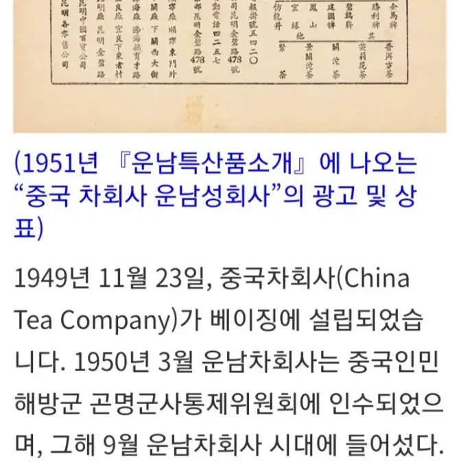 1951년 보이차