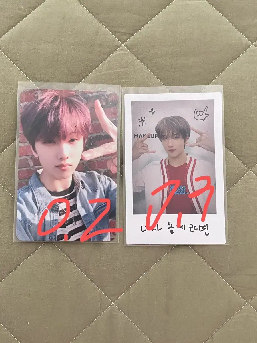 Jisung Dreamvibe pola Flavors