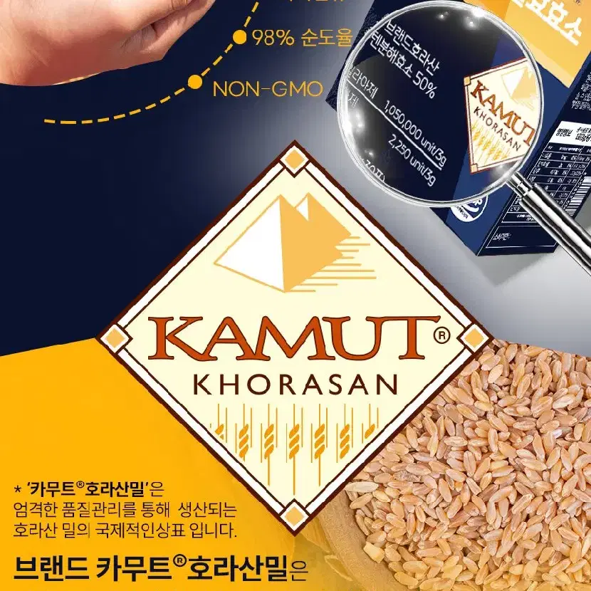 프리미엄 카무트 브랜드밀 글루텐분해 발효효소 3g x 30포