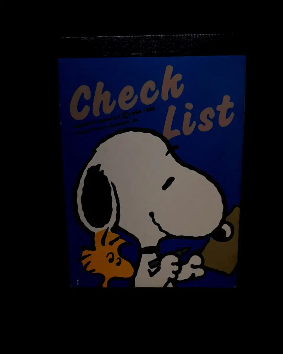 Classic Japanese Snoopy