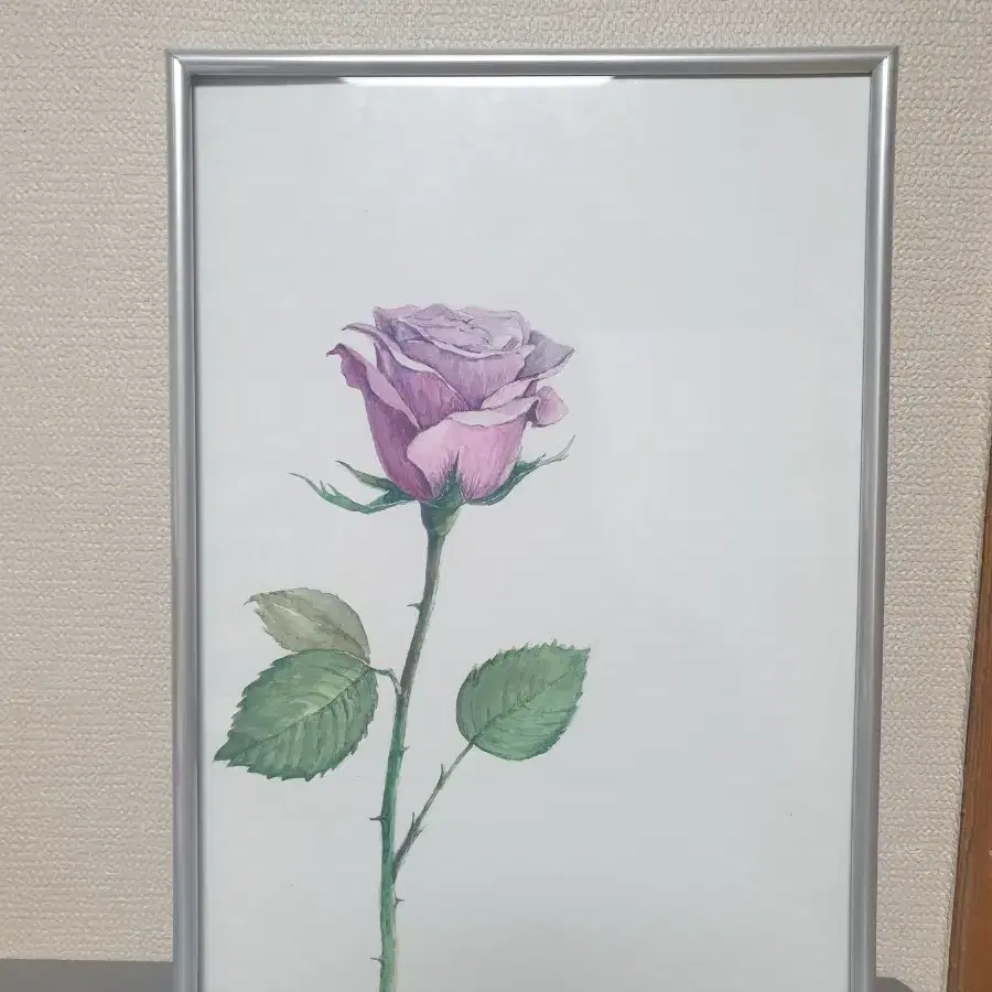 수채화 액자  장미(직접그림)