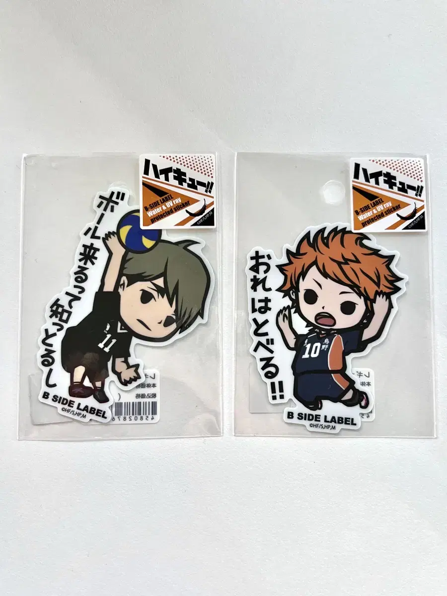 Haikyuu Jump Shop hinata Bisidro Belle Sticker