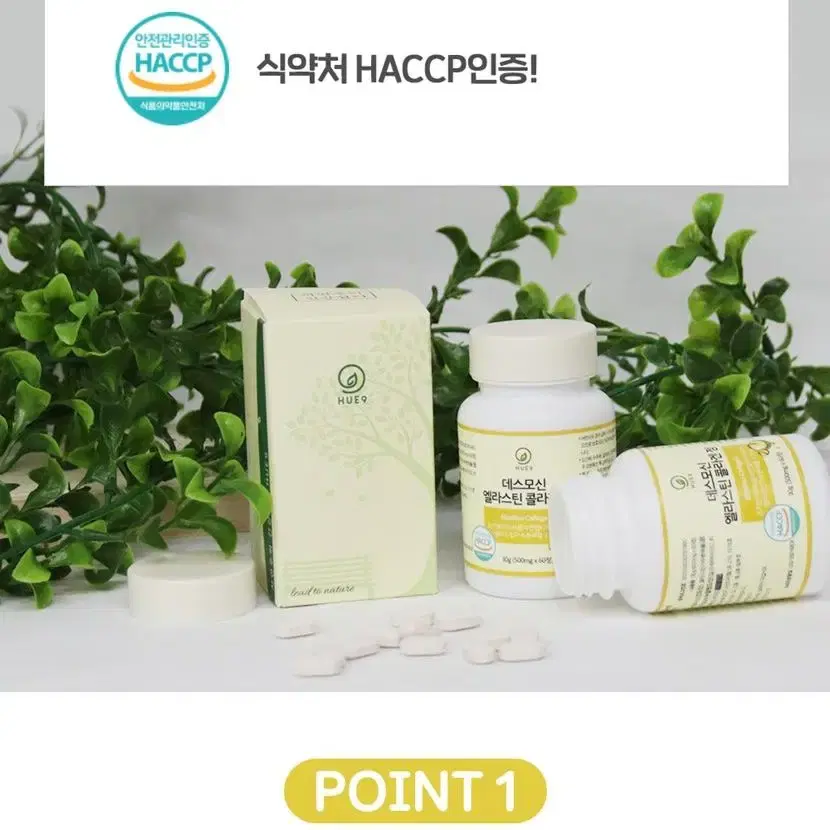 프랑스산 데스모신 엘라스틴콜라겐 정 500mg x 60정