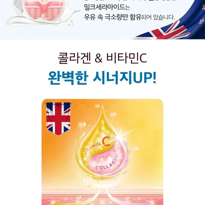 프랑스산 데스모신 엘라스틴콜라겐 정 500mg x 60정