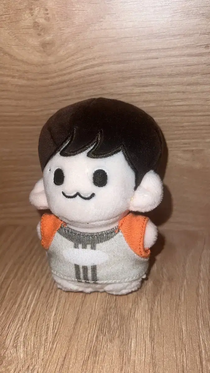 The Boyz juyeon doll wts Zuu Bam