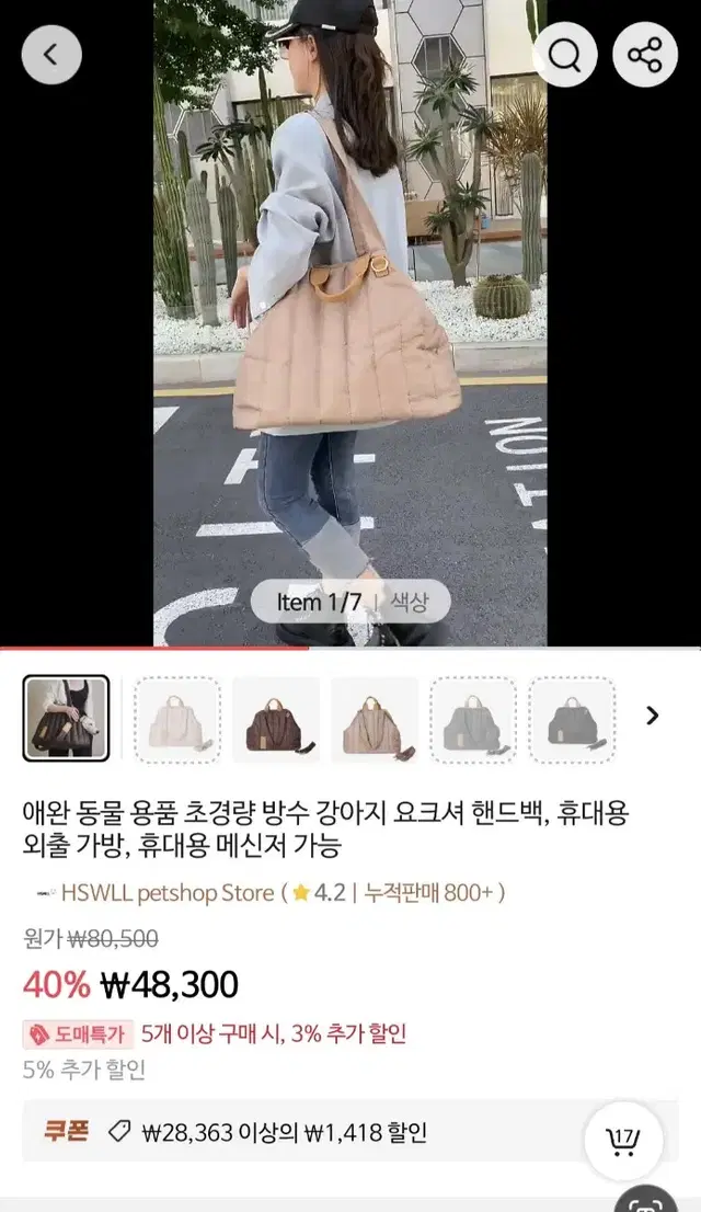 반려견 이동가방