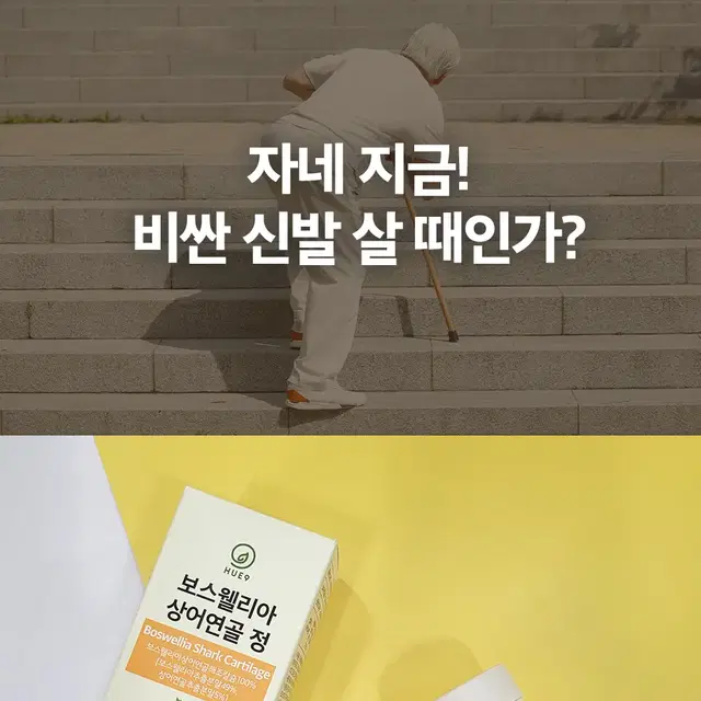 (1+1)보스웰릭산 65% 이상 보스웰리아 상어 연골 정