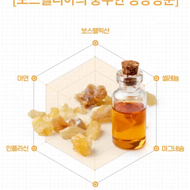 (1+1)보스웰릭산 65% 이상 보스웰리아 상어 연골 정