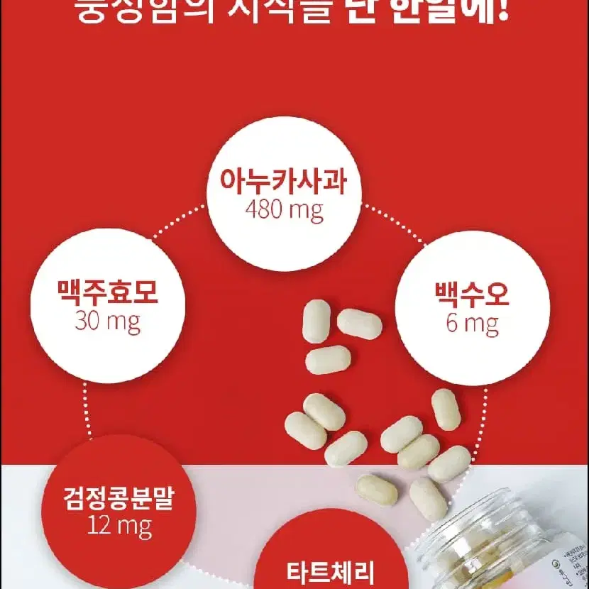 풍성한 머리를 위한 굿모닝 아누카 사과 600mg x 60정