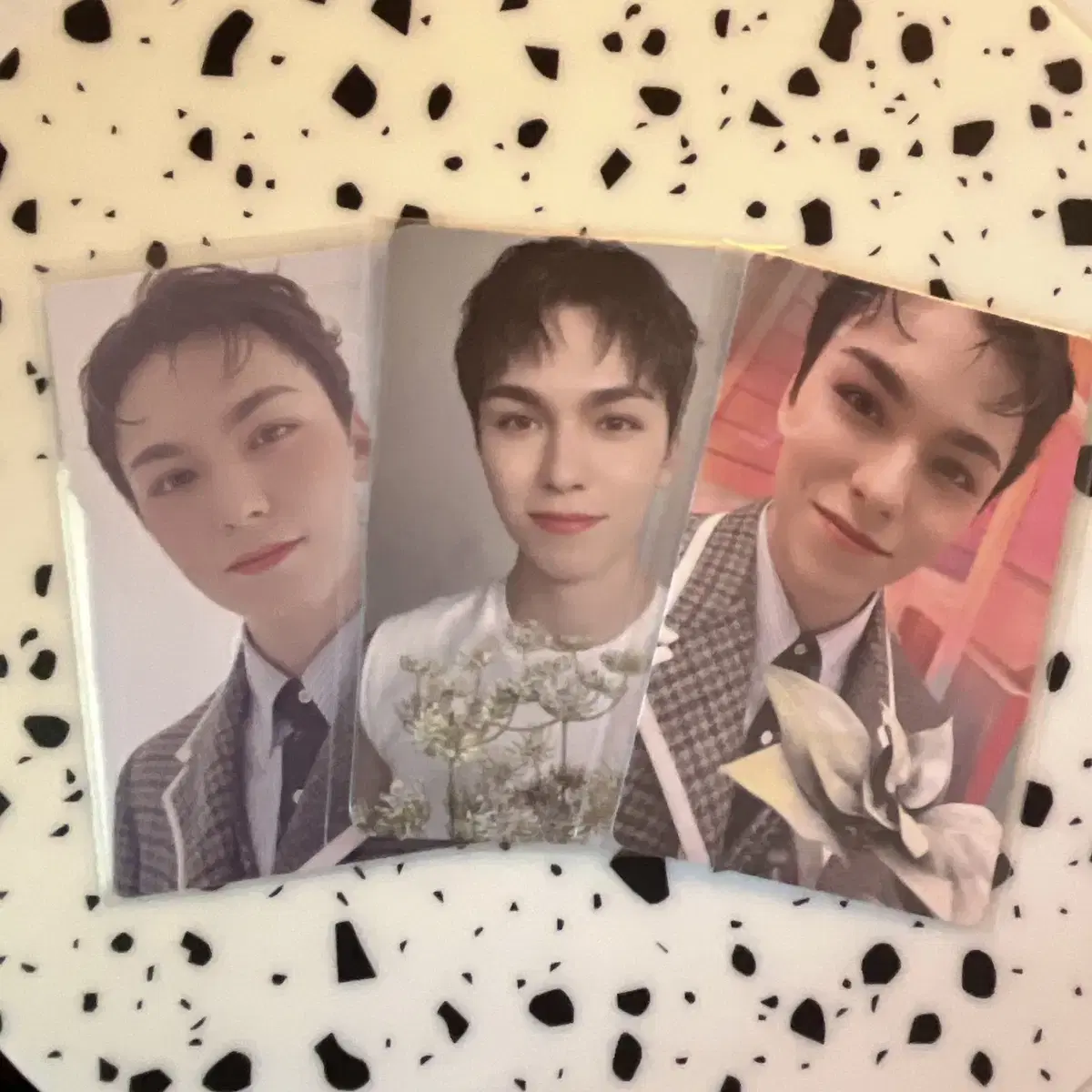 (vernon) Maestro photocard ㅅㅂㅌ