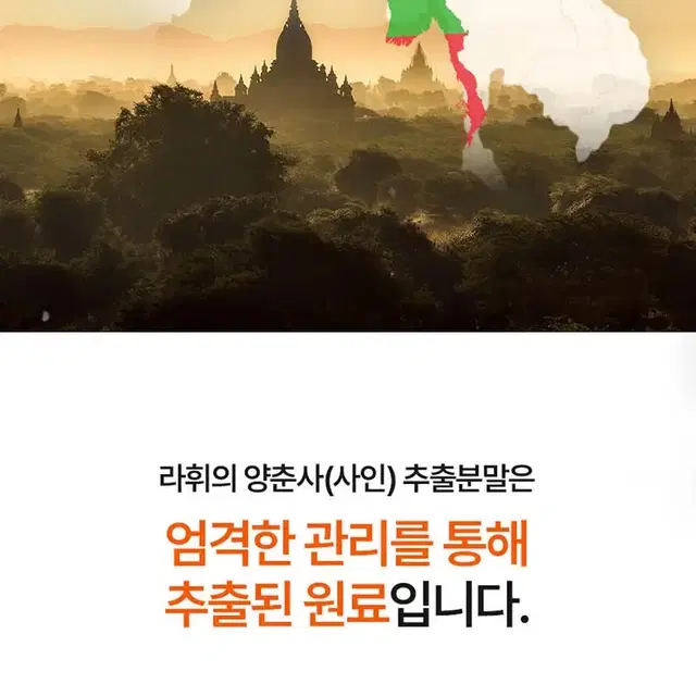 (1+1) ㄹㅏ휘 양춘사 사인 추출물 + 바나바잎  혈당다이어트