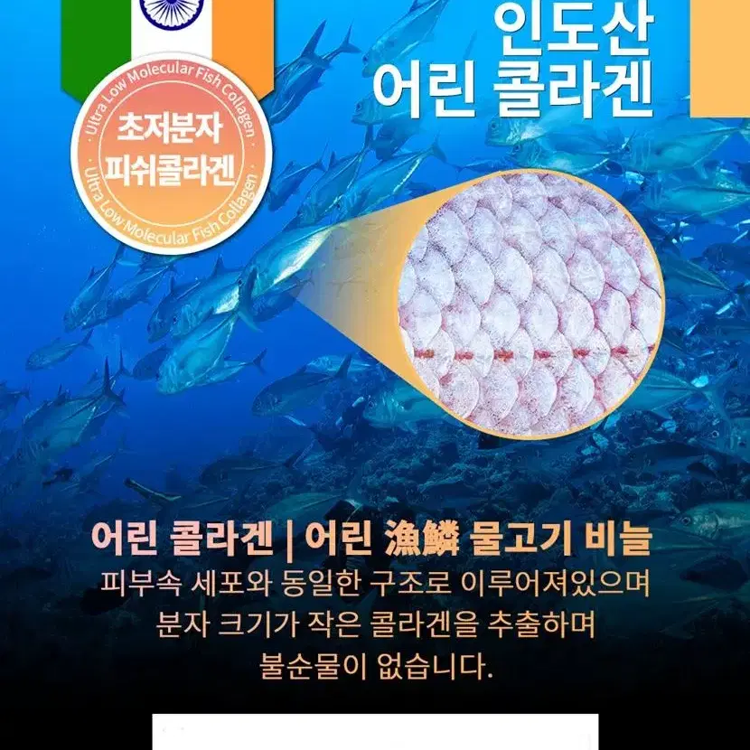 생기있는 피부 초저분자 피쉬콜라겐 비타플러스 x 70정