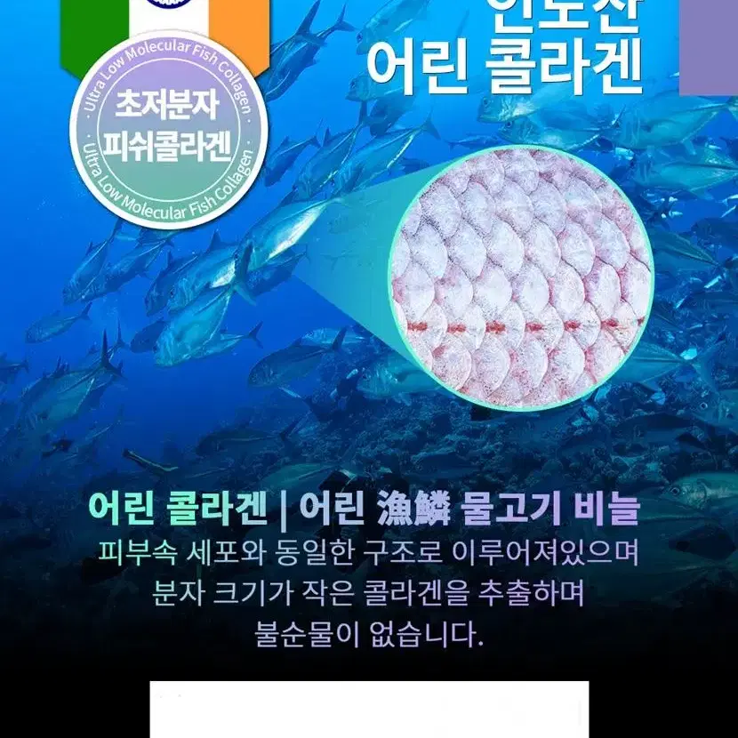 상큼가득 맛있는 어린 저분자 피쉬콜라겐 300달톤 80g