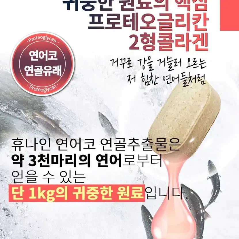 뻣뻣한 관절 프로테오글리칸 연어코 추출물 정 70정