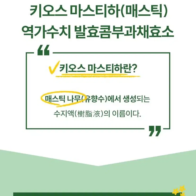 (1+1)편안한 위 매스틱 품은 편안한 양배추 캐비지 70정