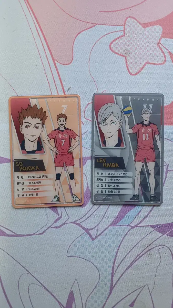 Haikyuu pop up Clear kard Inuoka, Lief WTS