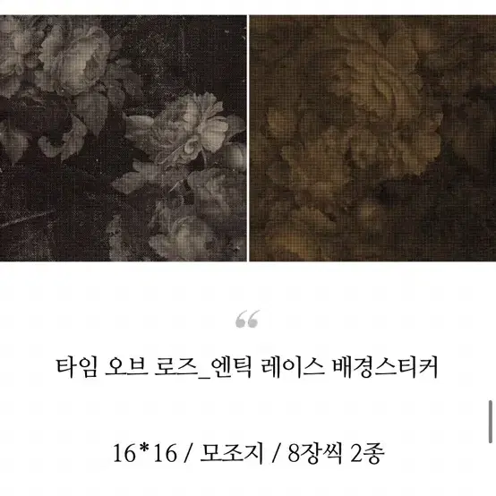 아리솔 스토어 신상 띵