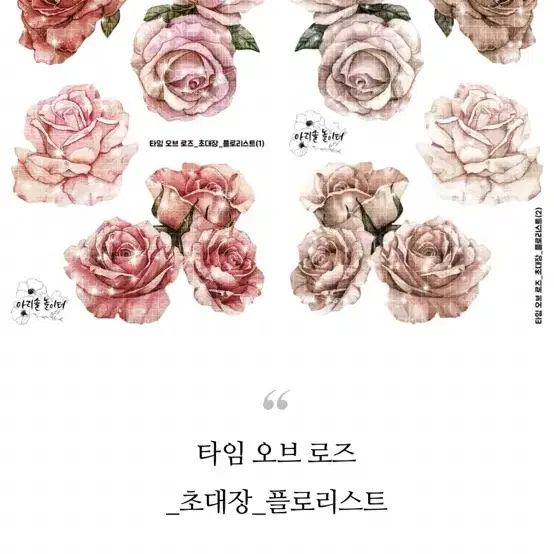 아리솔 스토어 신상 띵