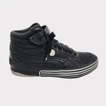250 PUMA 25