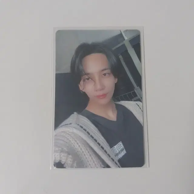 fml 정한 파스테럭드