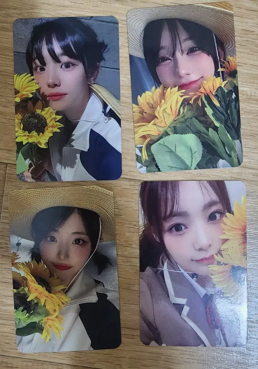 QWER Mini Vol. 1 beatroad Sunflower unreleased photocard (photocard)