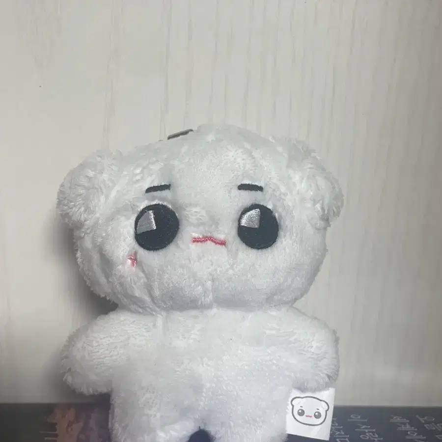 태용 10cm 인형 툥야 양도